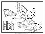 Fish Coloring Pages Animal Tuna Printable Clipart Color Puffer Koi Worksheets Printouts Mazes Addition Library Getcolorings Line Sheet Popular Worksheeto sketch template