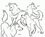 Coloring Pages Baby Wolf Print Cute Printable Wolves Comments Coloringhome sketch template