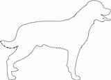 Rottweiler Silhouettes Contour Silhouetten Supercoloring sketch template