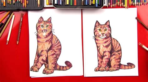 draw  realistic cat art  kids hub