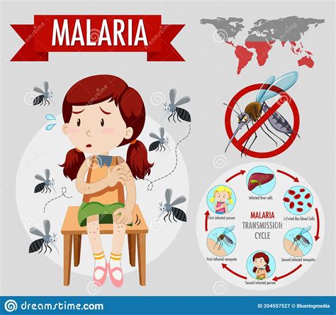 Malaria Symptom Information Infographic Stock Vector Illustration Of