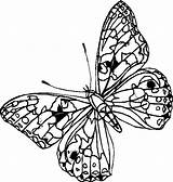 Farfalle Disegni Colorare Bambini sketch template