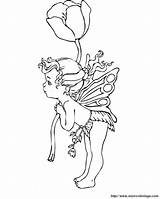 Fairies Blume Ausmalbilder Fiore Fee Fata Colorare sketch template