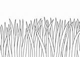 Grass Draw Drawing Easy Drawings Different Tutorial Step Ways Close Patches Beginner Bird sketch template