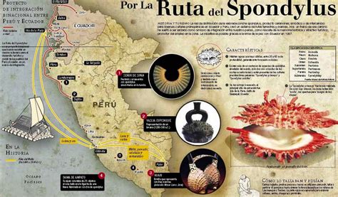 infografias de arte precolombino del peru concha spondylus