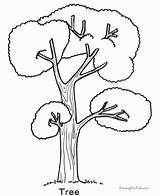 Coloring Tree Pages Everfreecoloring Trees sketch template