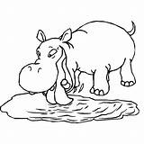 Coloring Pages Hippo Hippos Kids Animal Color Animals Printable Print Fun תמונה Coloringpages1001 Picgifs Nijlpaard sketch template