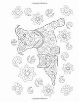 Coloring Pages Color Pitbull Adult Dog Adults Cat Book Dogs Books Cats Tangle Animal Floral sketch template