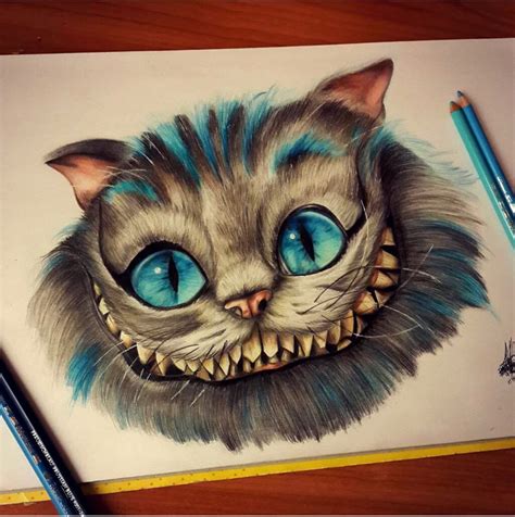 dibujos  lapiz de gatos como dibujar  gato facil paso  paso  lapiz aprender