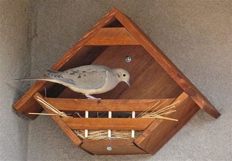 dove nesting nook bird house kits homemade bird houses bird houses diy