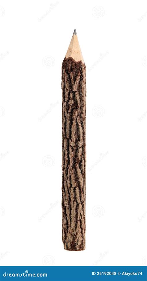 wooden pencil stock photo image  pencil nature ecology