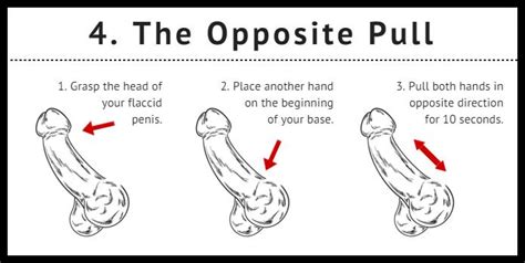 8 natural penis enlargement exercises pdf free download