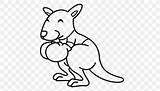 Boxing Coloring Kangaroo Pages Drawing Kids Large Books Save sketch template