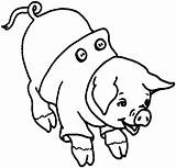 Pig Coloring Pages Baby Template Valentine Printable Color Little Colouring sketch template