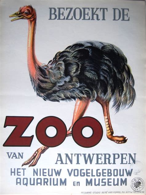 vintage poster   zoo catawiki
