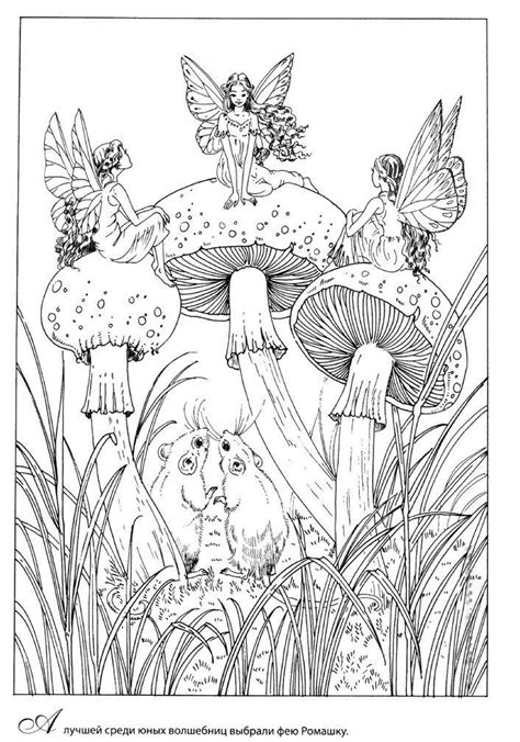 dragonfly fairy coloring page mangasntr