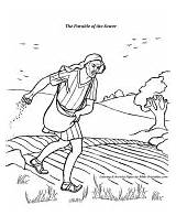 Sower Coloring Pages Parable Parables Jesus Bible Printables Good Stories sketch template