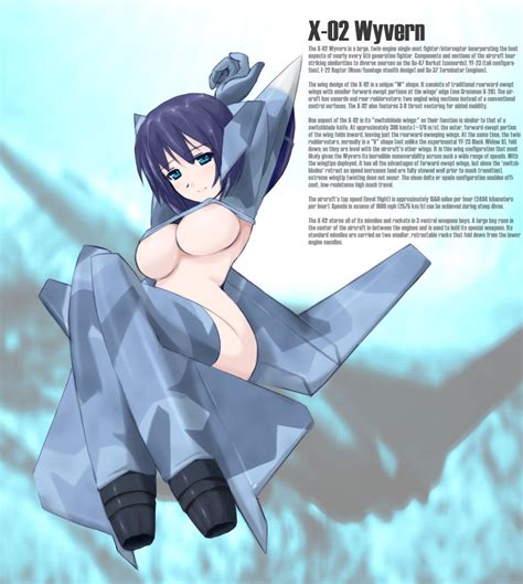 rule 34 ace combat 04 airplane arms behind head breasts english erect nipples jet large