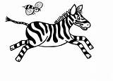 Zebra Cebra Zebras Kleurplaten Correndo Malvorlage Giraffe Getdrawings Tudodesenhos Ziege sketch template