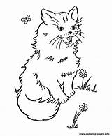 Coloring Cat Garden Animal Pages Printable Print Color sketch template