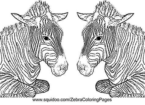 zebra coloring pages printable coloring pages coloring  kids