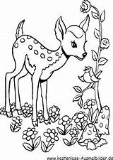 Reh Tiere Rehe Malvorlagen Bambi Malvorlage Hirsche Malen Zeichnung Rentier Arbeitsblaetter Ausmalvorlagen Schablone sketch template