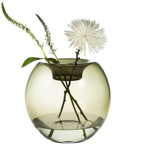 Niche Modern Stamen Glass Vase 550 Liked On Polyvore Featuring Home