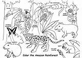 Jungle Coloring Pages Habitat Colouring Templates Template Junction sketch template