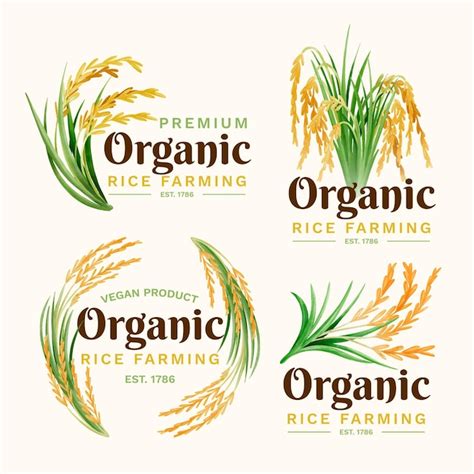 vector rice logo collection