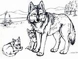 Wolf Coloring Pages Printable Kids Wolves Print Colouring Clawdeen Animal Christmas Adult sketch template