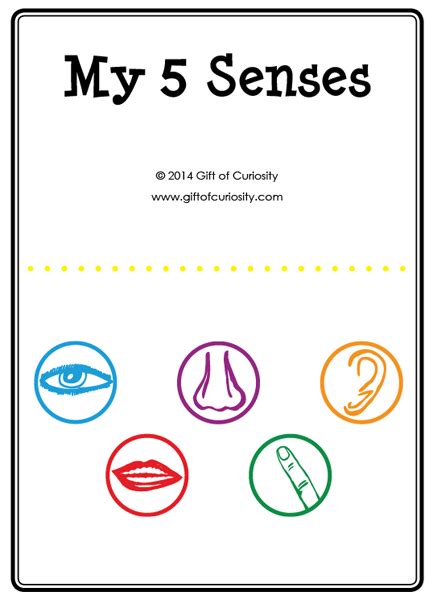 senses activities   senses printables gift  curiosity