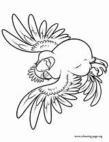 Carla Bresil Kolorowanki Colouring Meshack Abednego Macaw Eldest Library sketch template