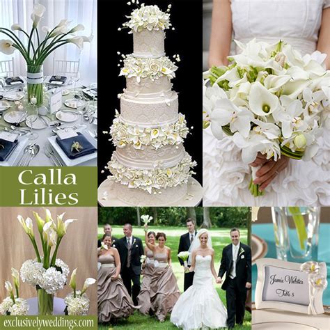 wedding theme calla lilies sunflowers  daisies exclusively
