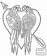 Coloring Pages Parakeet Getcolorings sketch template