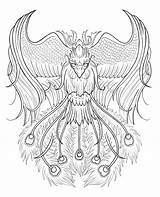 Phoenix Tattoo Drawing Outline Designs Rising Bird Ashes Drawings Pheonix Tattoos Birds Phönix Getdrawings Paintingvalley Sleeve Men Choose Board sketch template