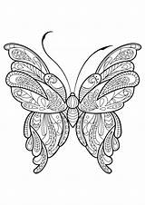 Coloring Pages Adult Print Butterfly sketch template