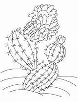 Cactus Coloring Pages Saguaro Printable Flower Kids Color Print Getdrawings Recommended sketch template