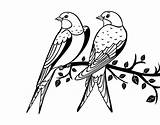 Birds Pair Coloringcrew Coloring sketch template