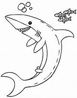 Shark Coloring Pages Boy Colouring Popular Mermaid sketch template