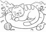 Katze Schlafende Ausdrucken Haustiere Malvorlagen sketch template
