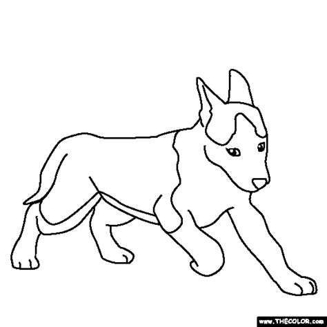 puppy  coloring pages thecolorcom