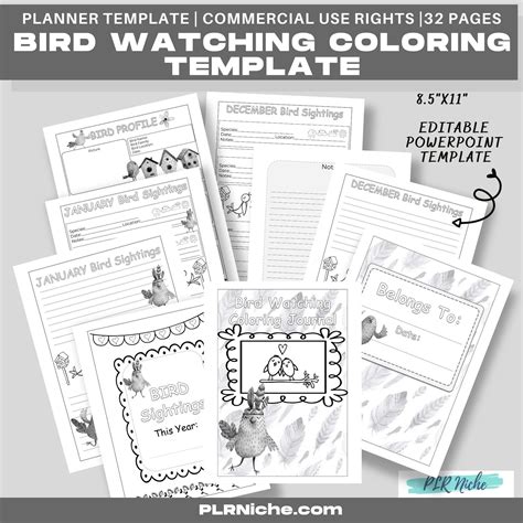 bird watching coloring pages template  pages plr niche