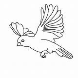 Flying Bird Coloring Drawing Pages Parrot Simple Birds Color Kids Cartoon Print Sparrow Sketch Flight Amazing Cute Floating Printable Sheets sketch template