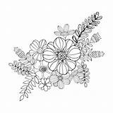 Doodle Flower Coloring Drawing Freehand Hydrengea Flowers Illustration Vector Preview sketch template