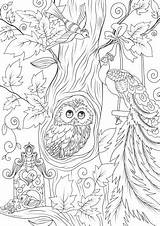 Birds Tree Coloring Favoreads sketch template