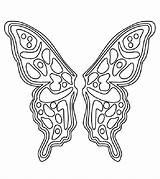 Papillon Momjunction Gratuitement sketch template