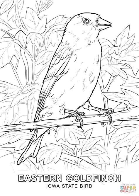 bird coloring pages animal coloring pages coloring pages