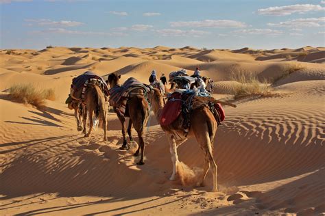 quelles sont les temperatures dans le desert du sahara desert du sahara