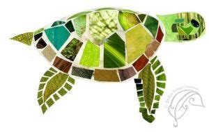 mosaic turtle turtle art elementary art projects turtle crafts