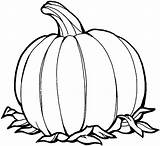 Pumpkin Coloring Pages Color Sheet Sheets Halloween Kids Pumpkins Orange Cartoon Fall Tags Printable sketch template